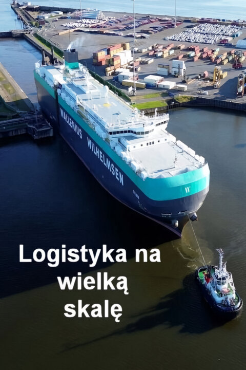 Megalogistika