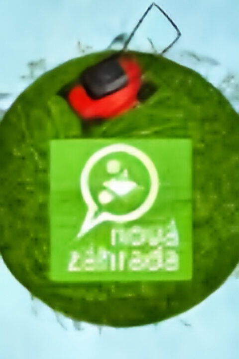 Nová zahrada
