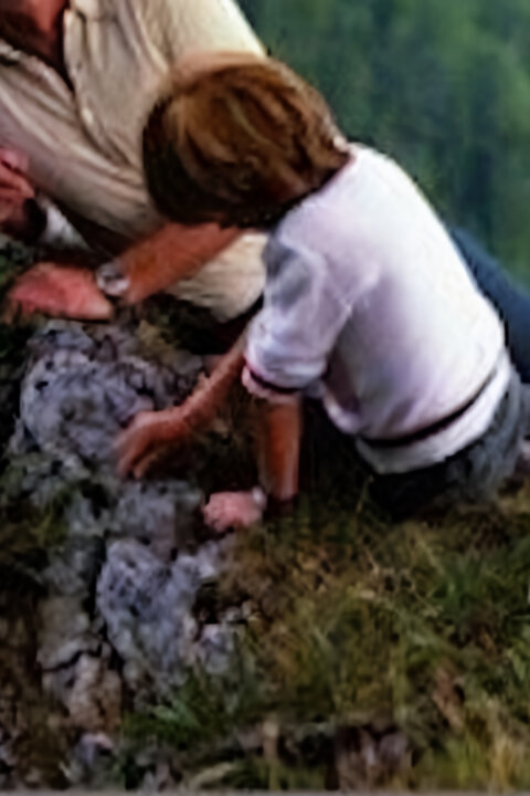 Postav dom, zasaď strom