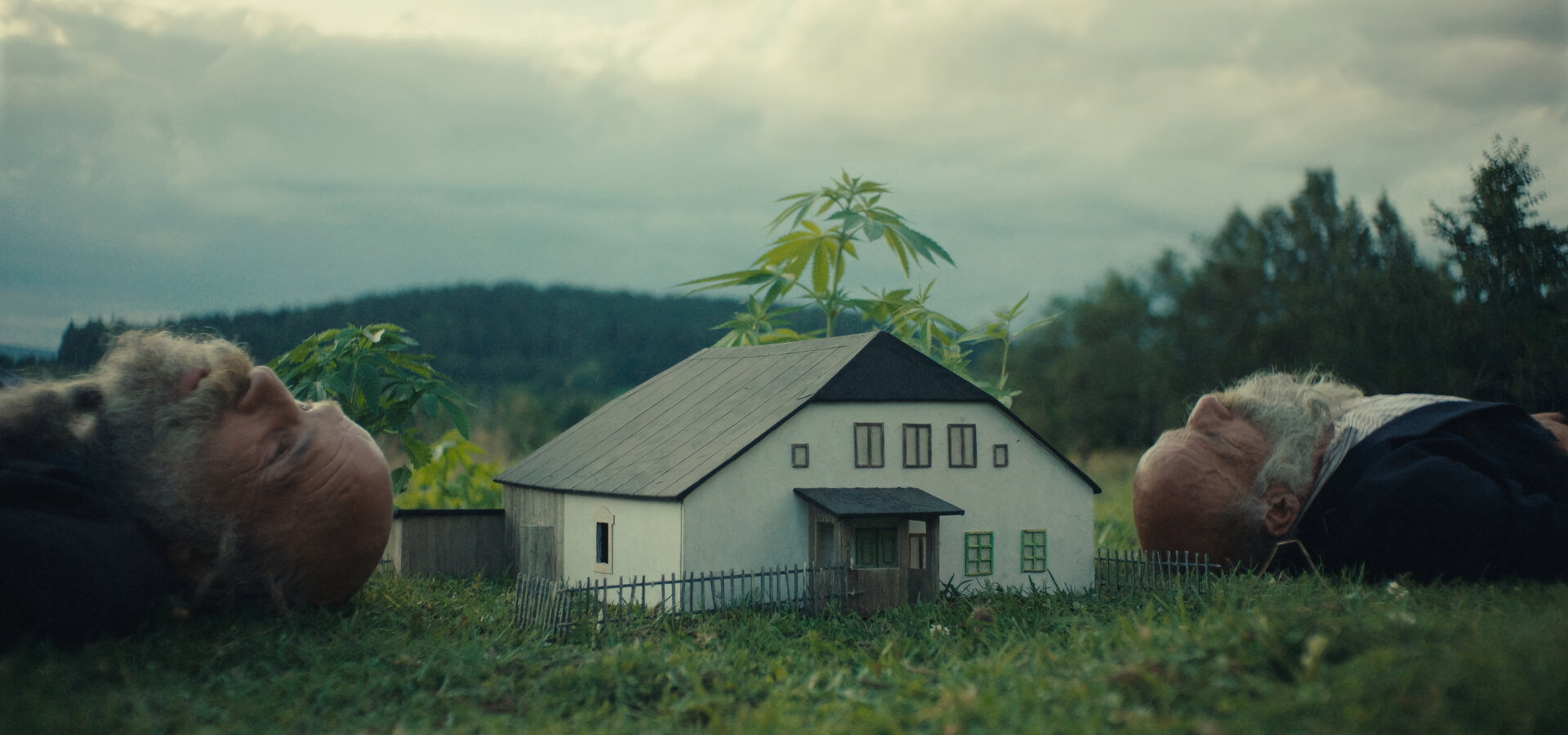 Raději zešílet v divočině