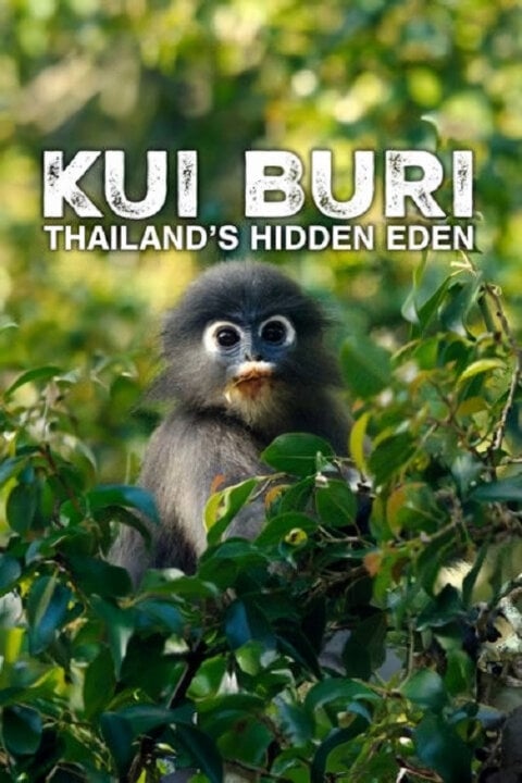 Kui Buri – skrytý ráj Thajska