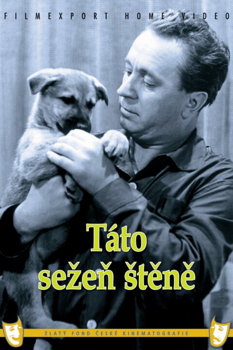 Táto, sežeň štěně!