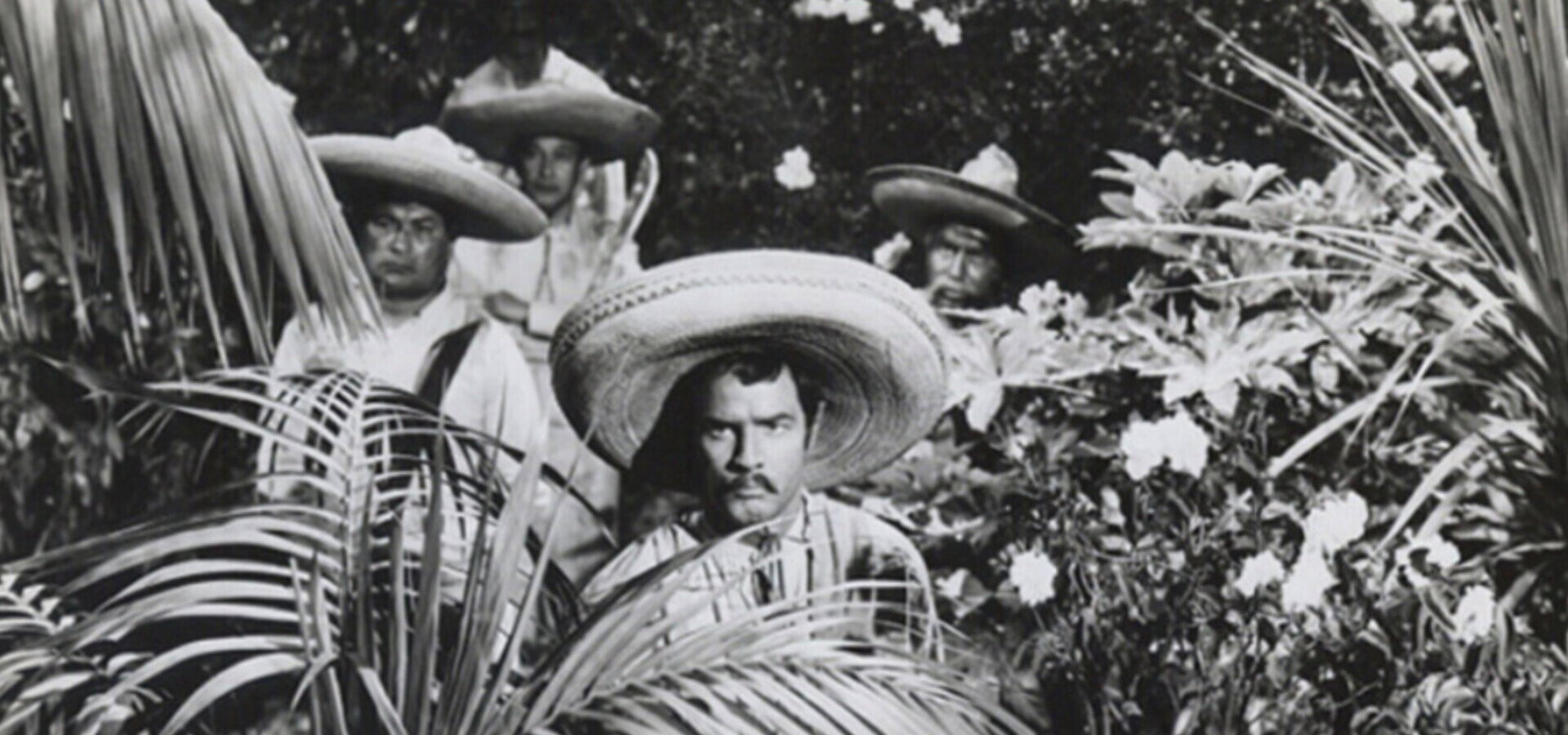 Viva Zapata!