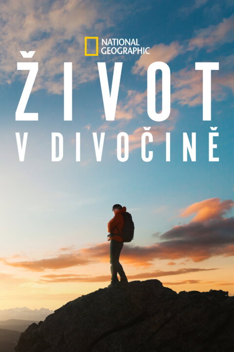 Život v divočině