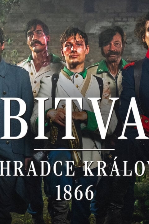 Bitva u Hradce Králové 1866