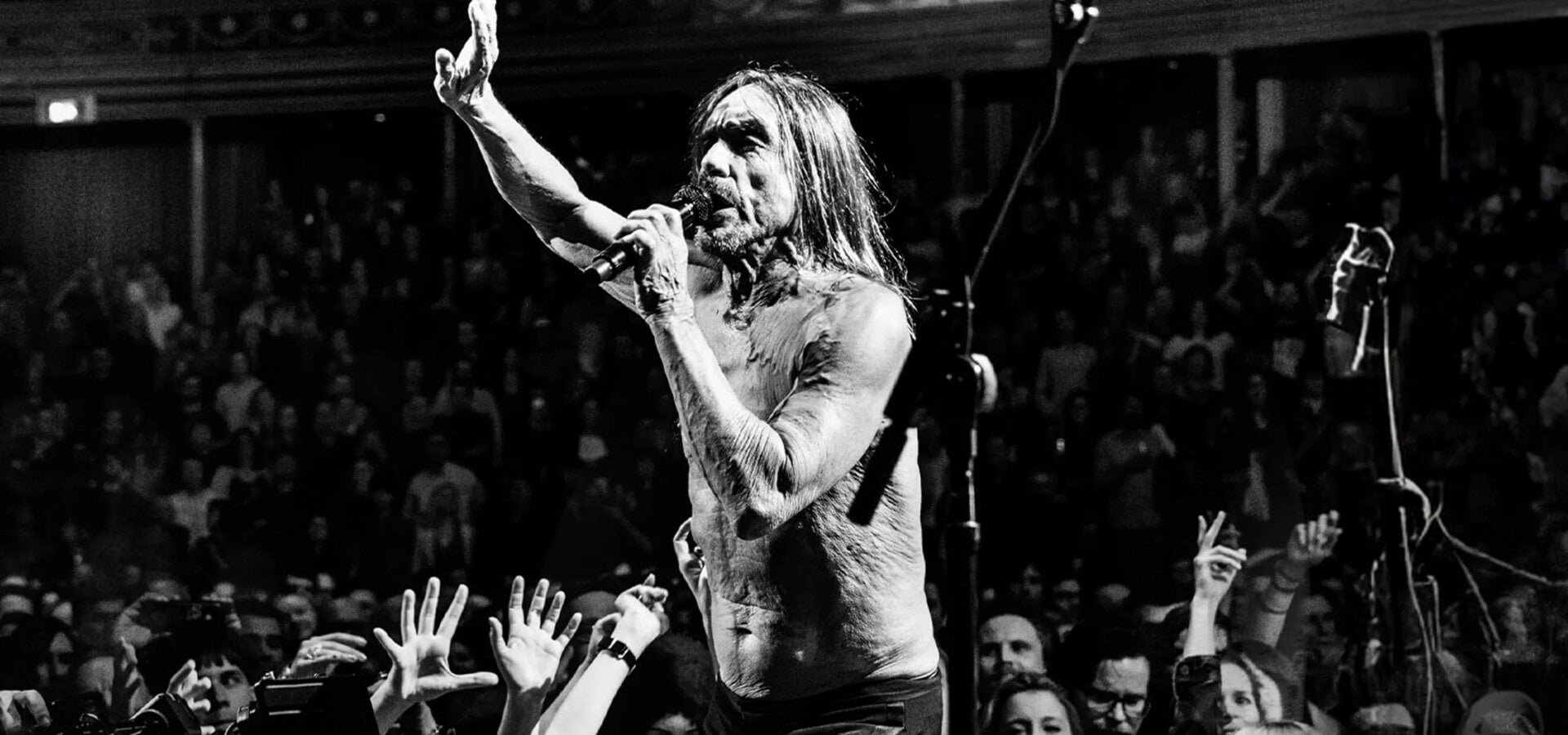Iggy Pop: Post Pop Depression