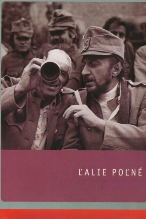Ľalie poľné