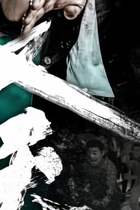 Master Z: The Ip Man Legacy