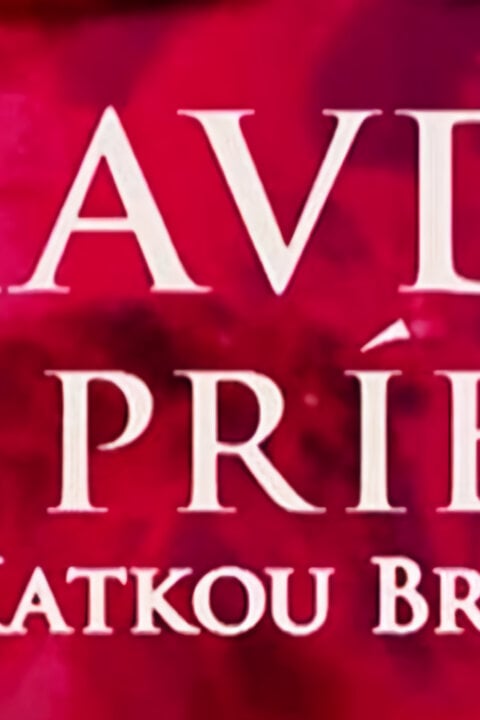 Pravdivé príbehy s Katkou Brychtovou