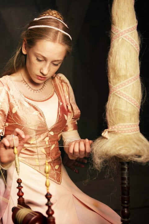 Rozprávky bratov Grimmovcov: Šípková Ruženka
