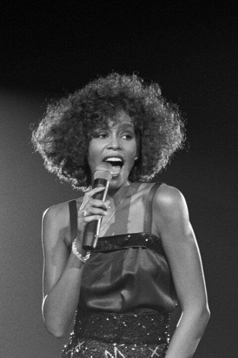 Whitney: Úžasný hlas, smutný příběh