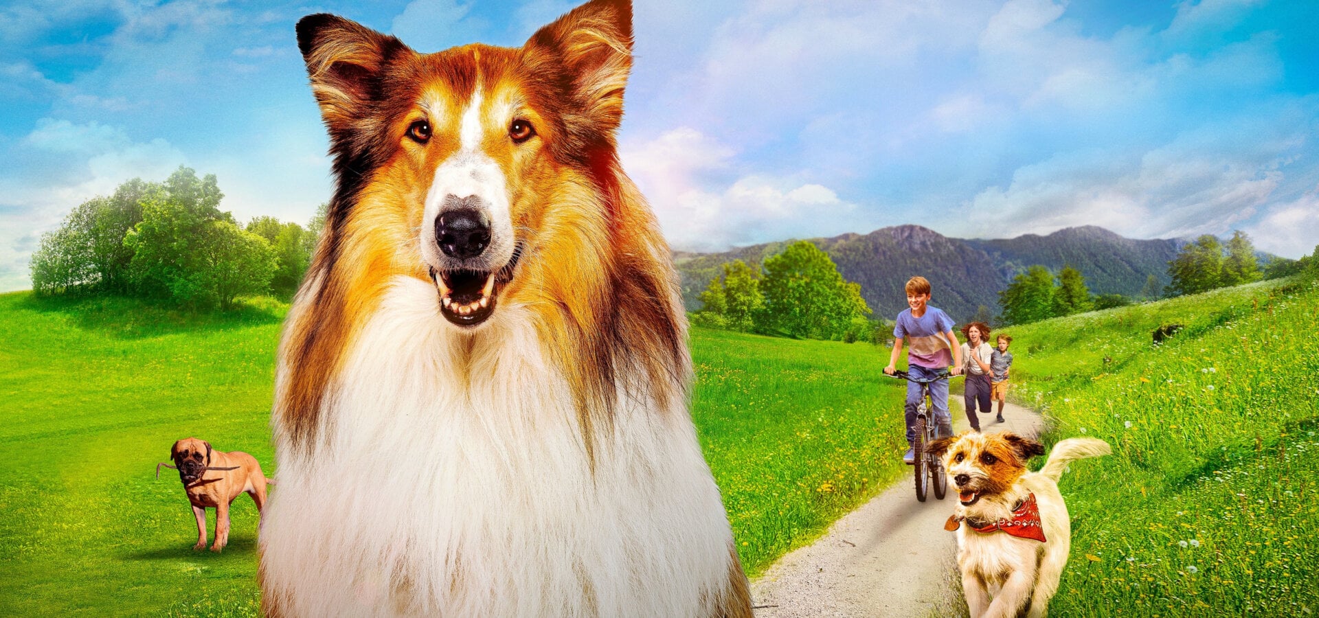 Lassie: Nové dobrodružstvo
