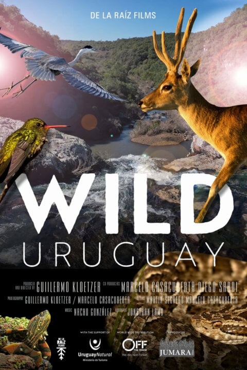 Divoká Uruguay