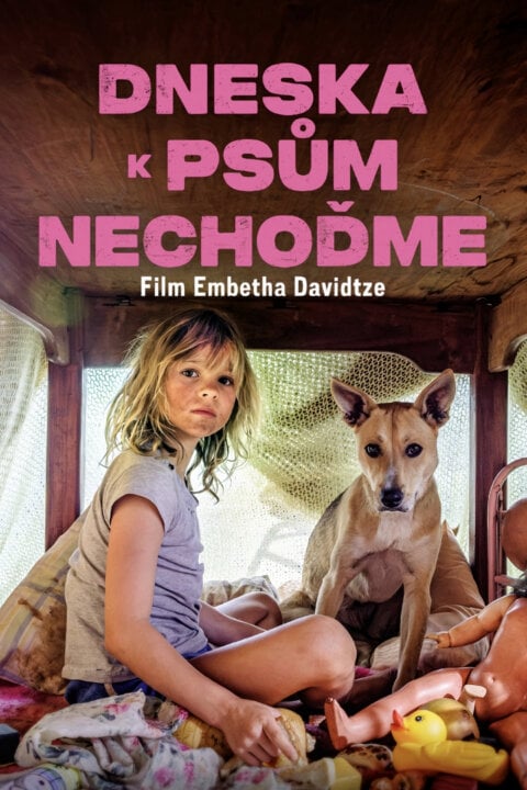 Dneska k psům nechoďme