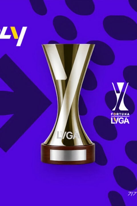 Foruna Lyga