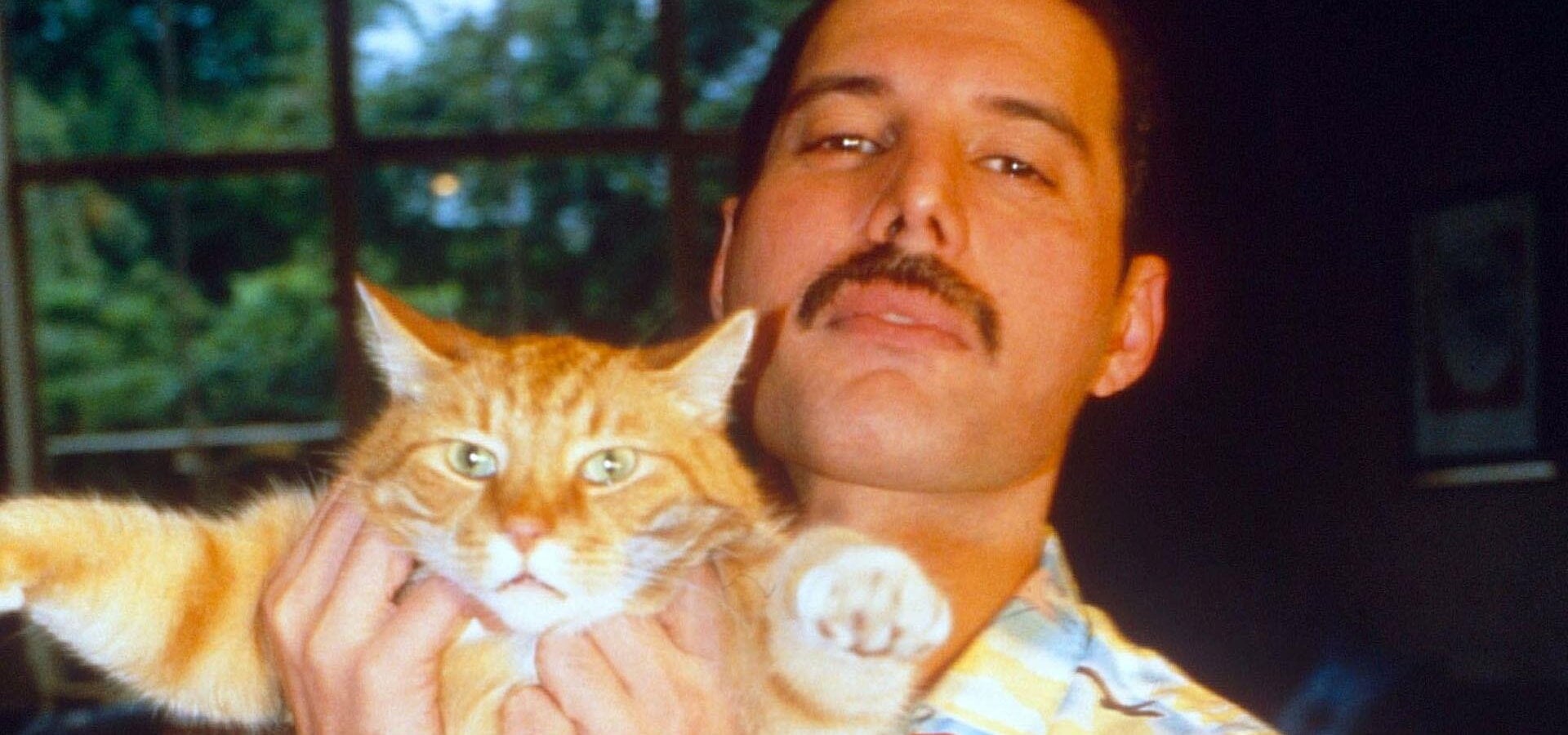 Freddie Mercury: Příběh