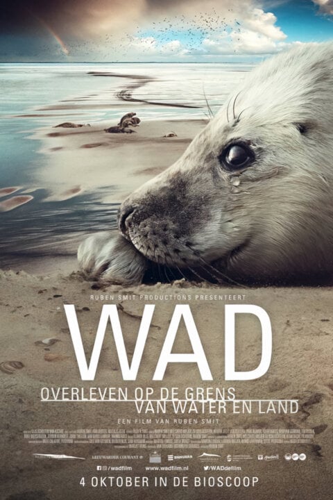 Waddenské moře: Život na hraně