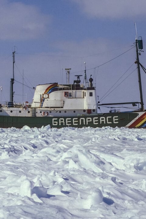 Legenda jménem Rainbow Warrior