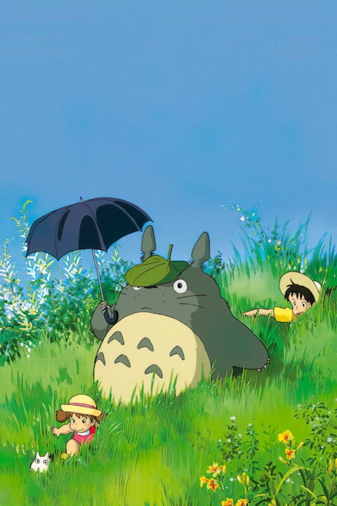 Můj soused Totoro