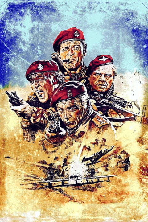 Divoké husy